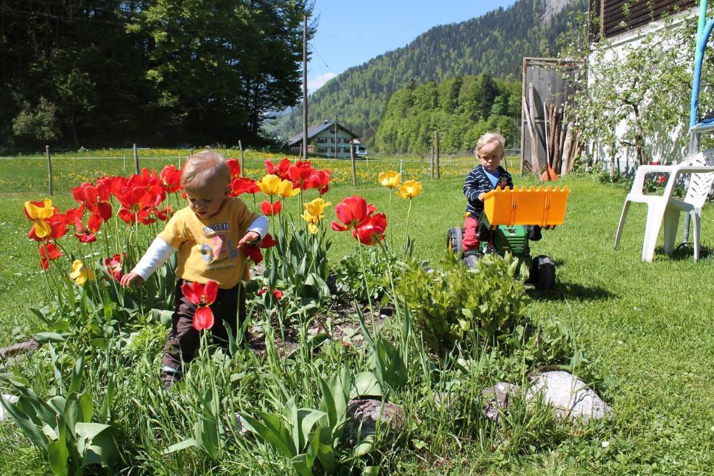 Ferienwohnungen Sutter Au (Vorarlberg) Exterior photo