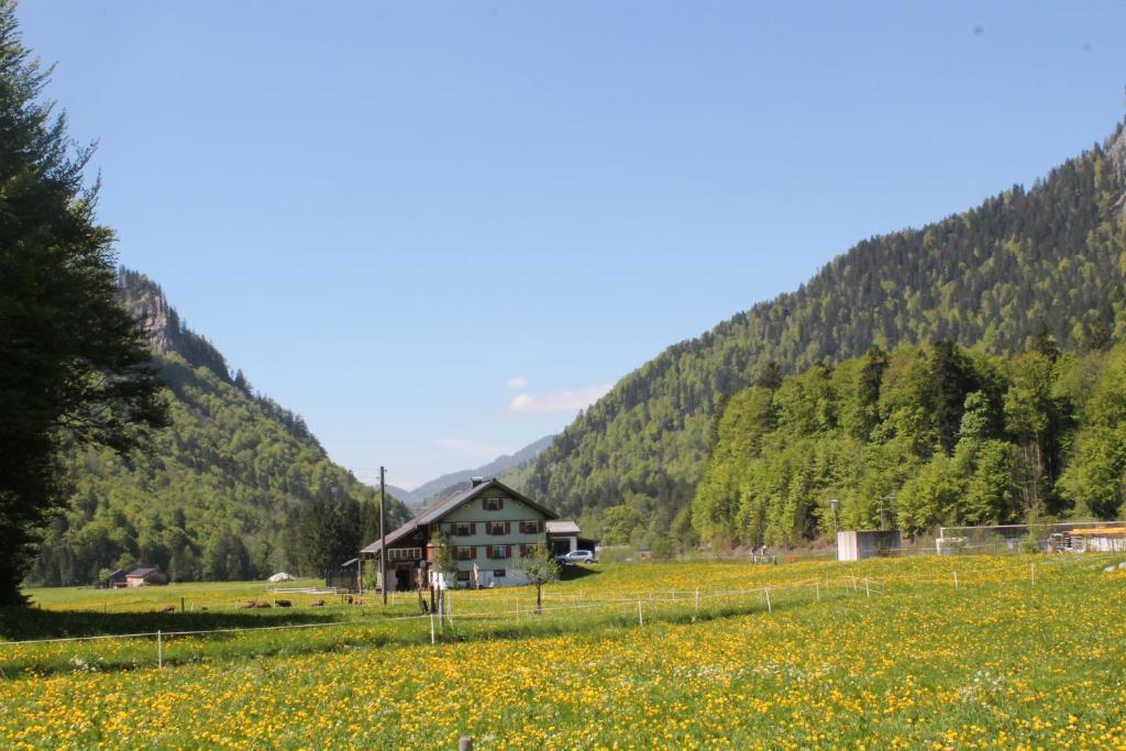 Ferienwohnungen Sutter Au (Vorarlberg) Exterior photo